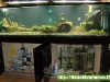 3000 litru akvariumas su sumpu ir filtracija