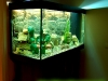 300 litru ar 270 litru akvariumo instaliacija